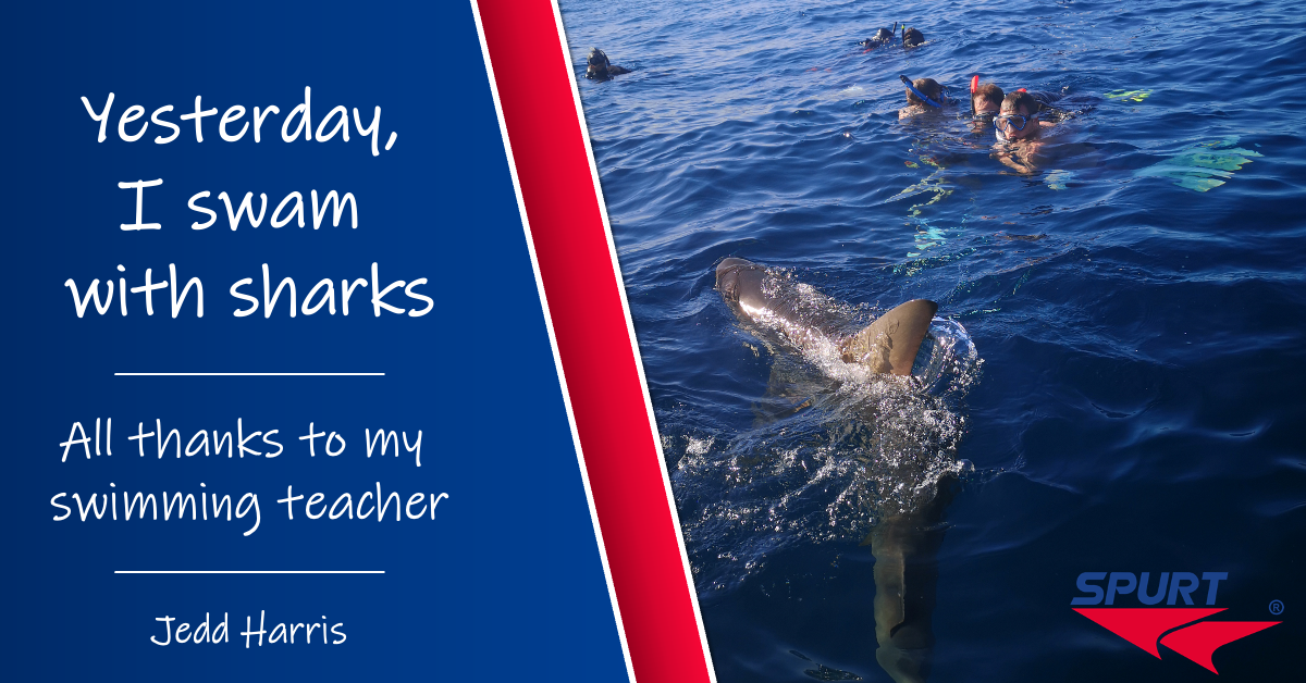 Swimming with sharks thanks to my swim teacher
